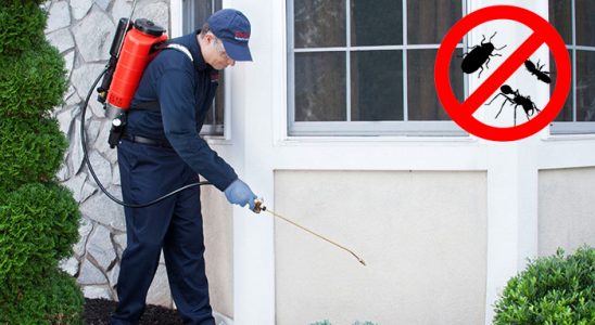 Yunusemre Bit İlaçlama böcek ilaçlama ve haşere kontrolü — ilaclama-tr.com